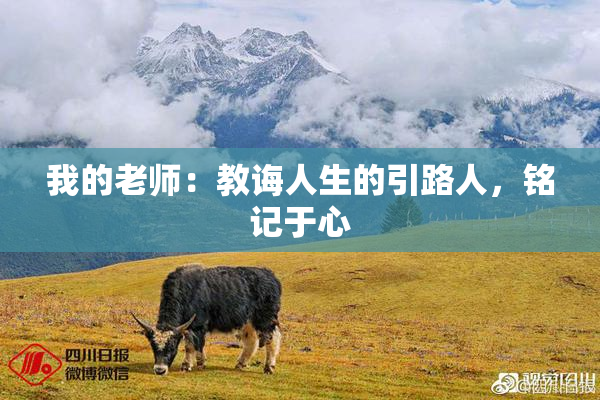 我的老师：教诲人生的引路人，铭记于心