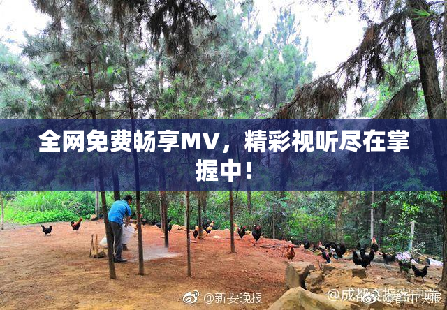 全网免费畅享MV，精彩视听尽在掌握中！