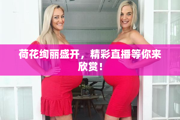 荷花绚丽盛开，精彩直播等你来欣赏！