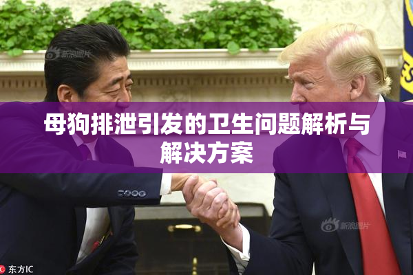 母狗排泄引发的卫生问题解析与解决方案