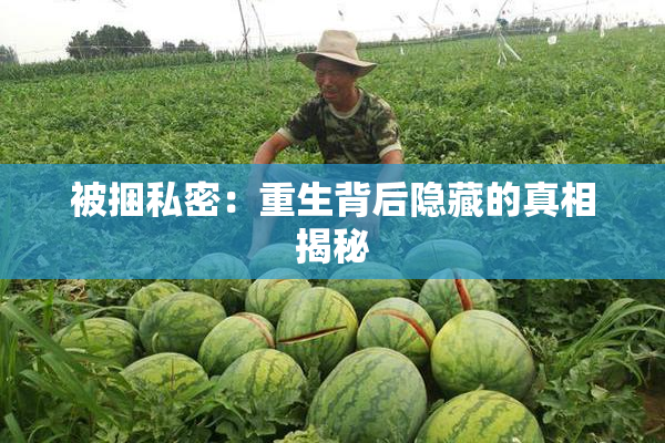 被捆私密：重生背后隐藏的真相揭秘