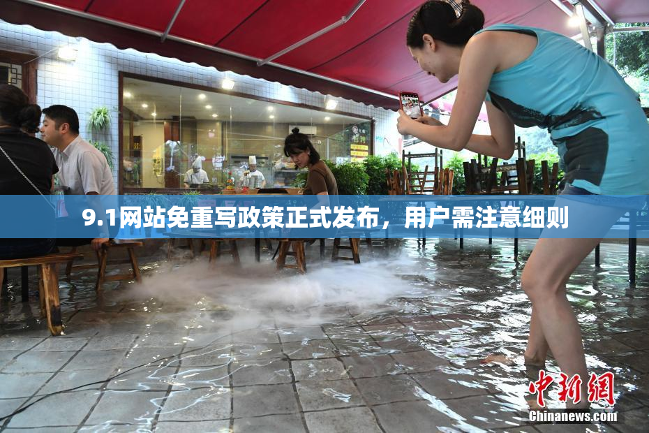 9.1网站免重写政策正式发布，用户需注意细则