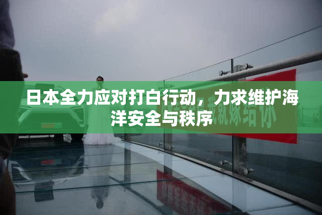 日本全力应对打白行动，力求维护海洋安全与秩序