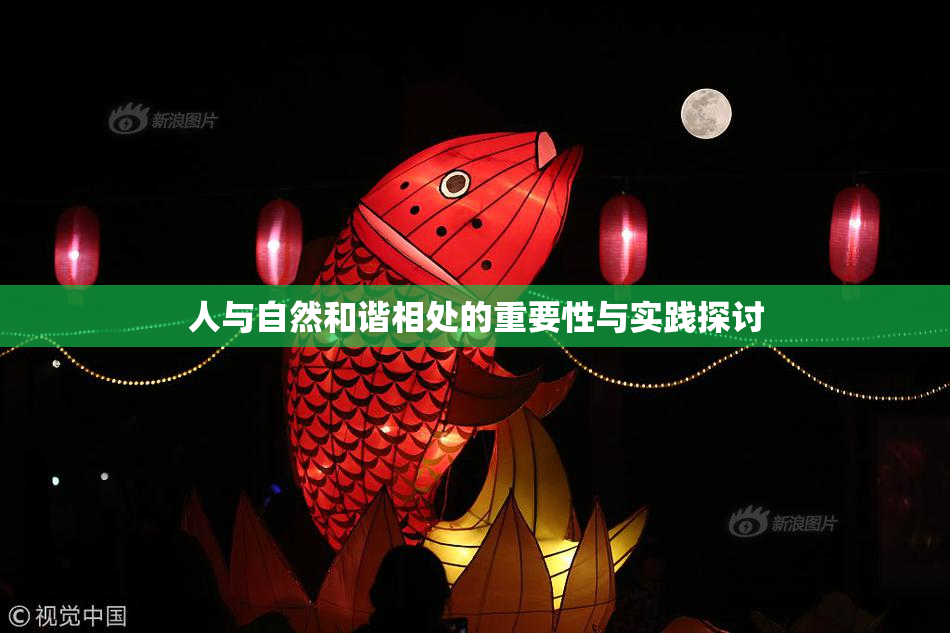 人与自然和谐相处的重要性与实践探讨