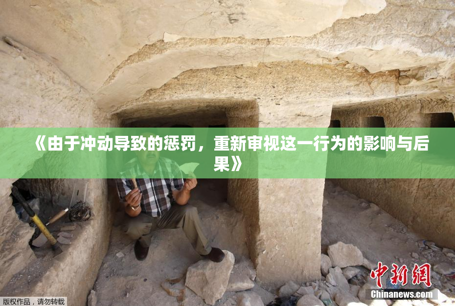 《由于冲动导致的惩罚，重新审视这一行为的影响与后果》