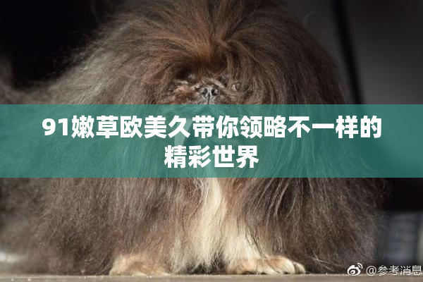 91嫩草欧美久带你领略不一样的精彩世界
