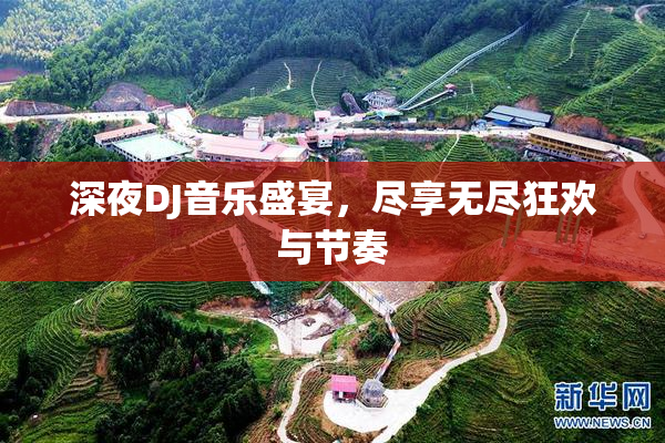 深夜DJ音乐盛宴，尽享无尽狂欢与节奏