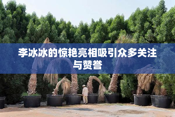 李冰冰的惊艳亮相吸引众多关注与赞誉
