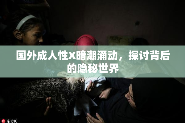 国外成人性X暗潮涌动，探讨背后的隐秘世界