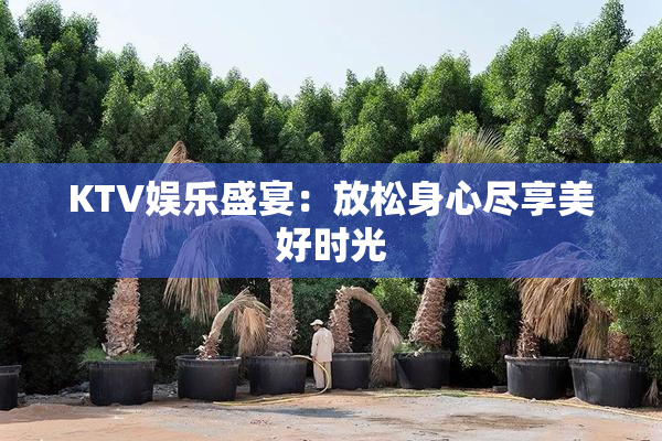 KTV娱乐盛宴：放松身心尽享美好时光