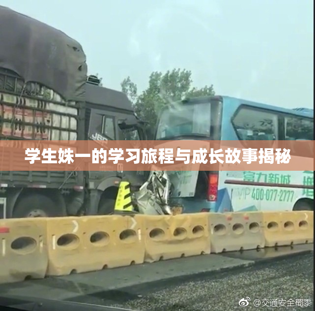 学生姝一的学习旅程与成长故事揭秘