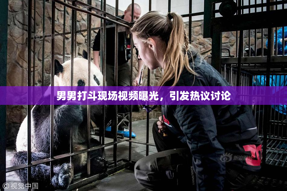 男男打斗现场视频曝光，引发热议讨论