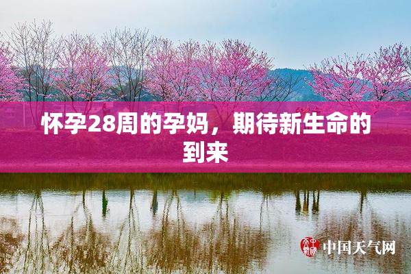 怀孕28周的孕妈，期待新生命的到来