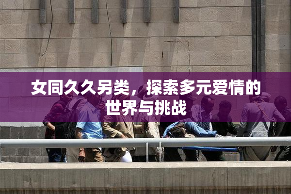 女同久久另类，探索多元爱情的世界与挑战