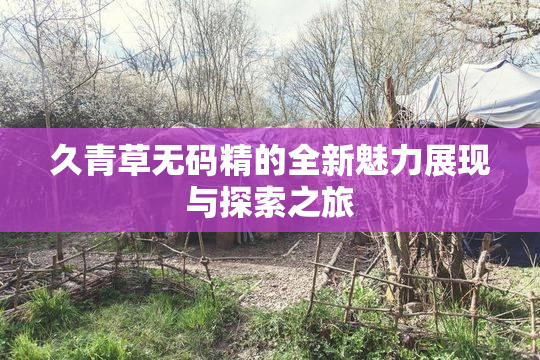 久青草无码精的全新魅力展现与探索之旅