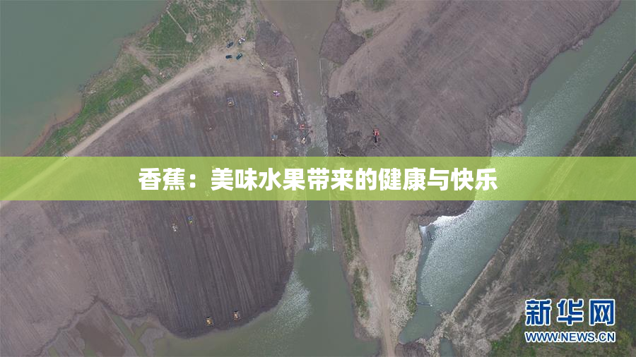 香蕉：美味水果带来的健康与快乐