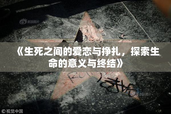 《生死之间的爱恋与挣扎，探索生命的意义与终结》