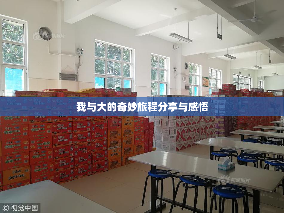 我与大的奇妙旅程分享与感悟