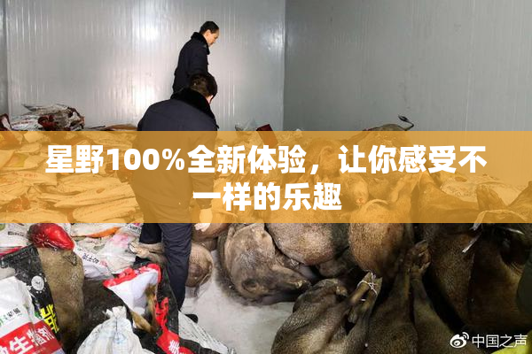 星野100%全新体验，让你感受不一样的乐趣