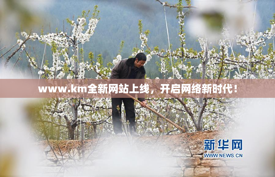 www.km全新网站上线，开启网络新时代！