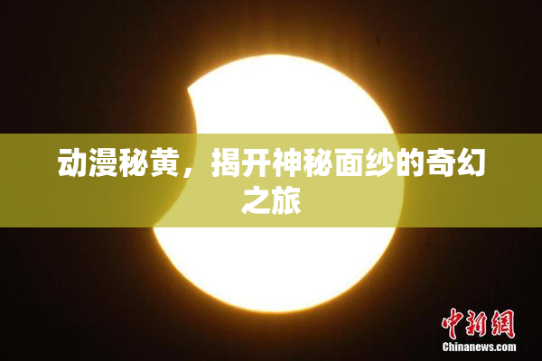 动漫秘黄，揭开神秘面纱的奇幻之旅