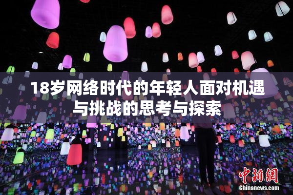 18岁网络时代的年轻人面对机遇与挑战的思考与探索