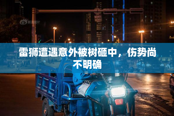 雷狮遭遇意外被树砸中，伤势尚不明确