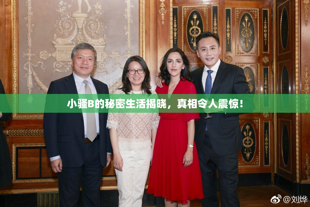小骚B的秘密生活揭晓，真相令人震惊！
