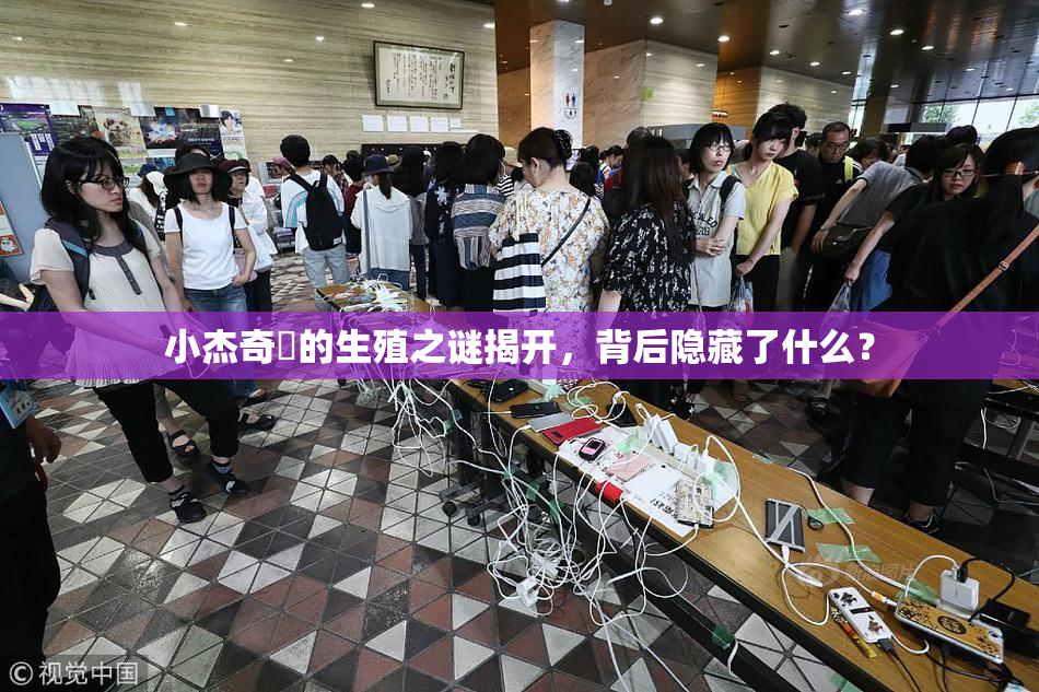 小杰奇犽的生殖之谜揭开，背后隐藏了什么？