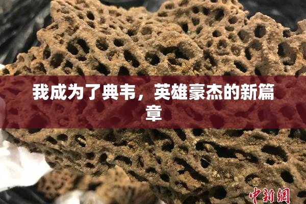 我成为了典韦，英雄豪杰的新篇章