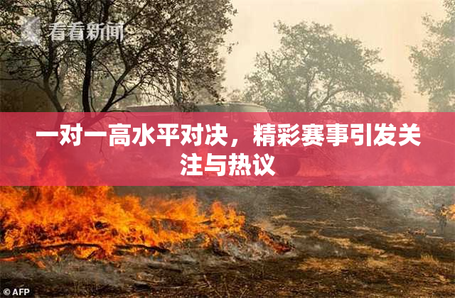 一对一高水平对决，精彩赛事引发关注与热议