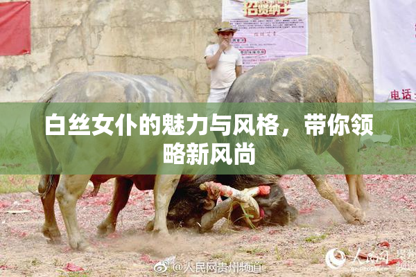 白丝女仆的魅力与风格，带你领略新风尚
