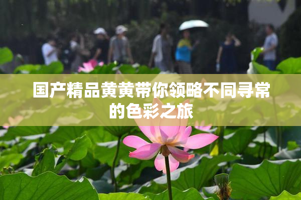 国产精品黄黄带你领略不同寻常的色彩之旅