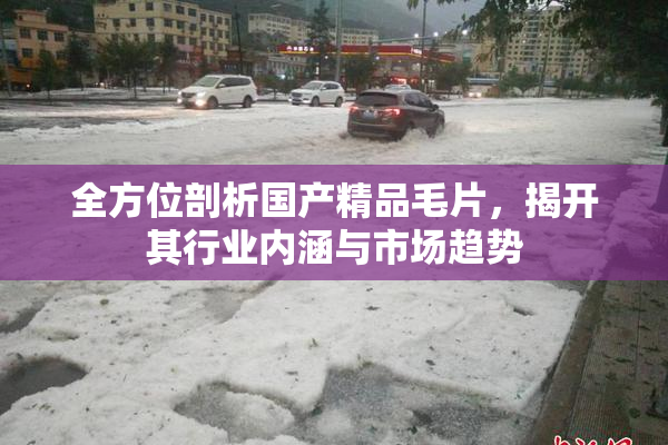 全方位剖析国产精品毛片，揭开其行业内涵与市场趋势