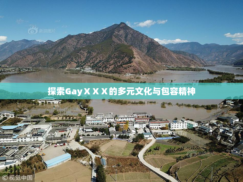 探索GayⅩⅩⅩ的多元文化与包容精神
