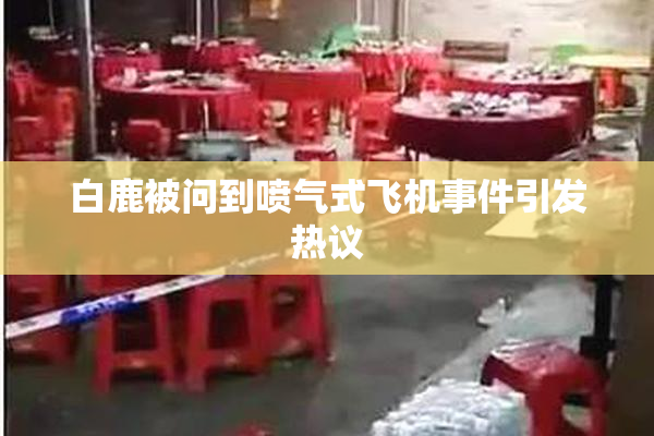 白鹿被问到喷气式飞机事件引发热议