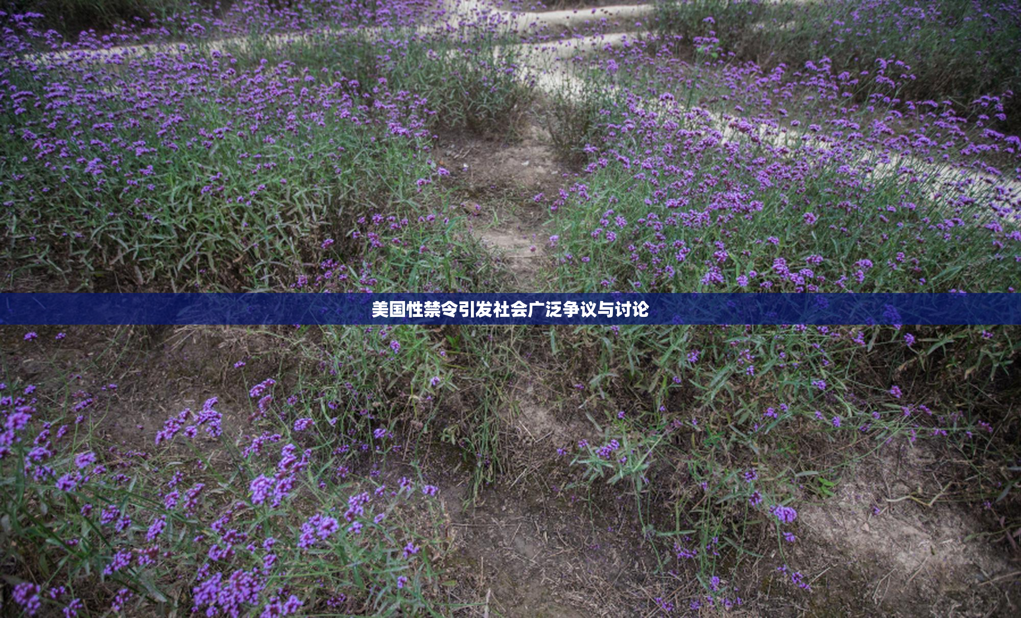 美国性禁令引发社会广泛争议与讨论