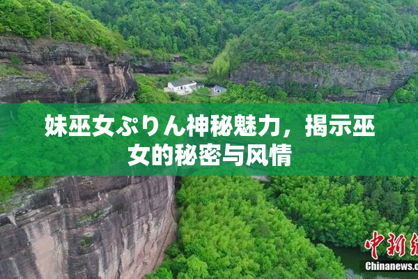 妹巫女ぷりん神秘魅力，揭示巫女的秘密与风情