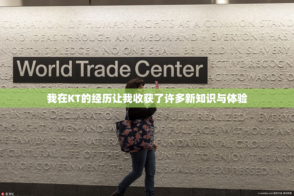 我在KT的经历让我收获了许多新知识与体验