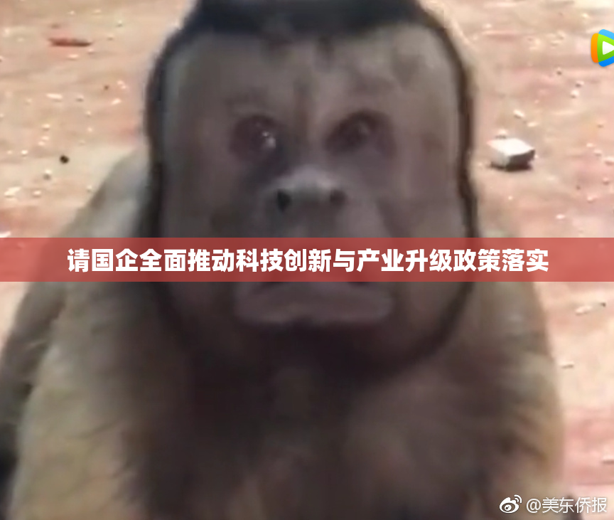 请国企全面推动科技创新与产业升级政策落实