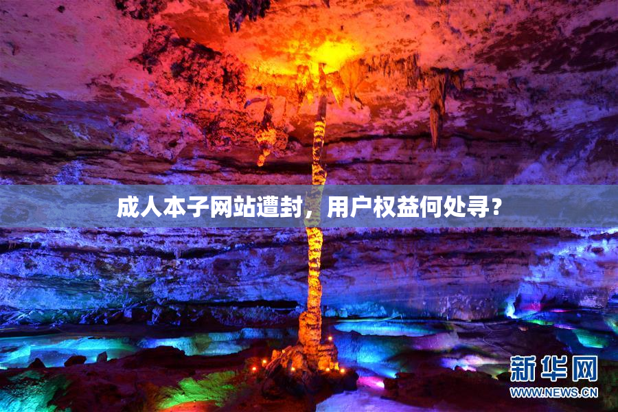 成人本子网站遭封，用户权益何处寻？