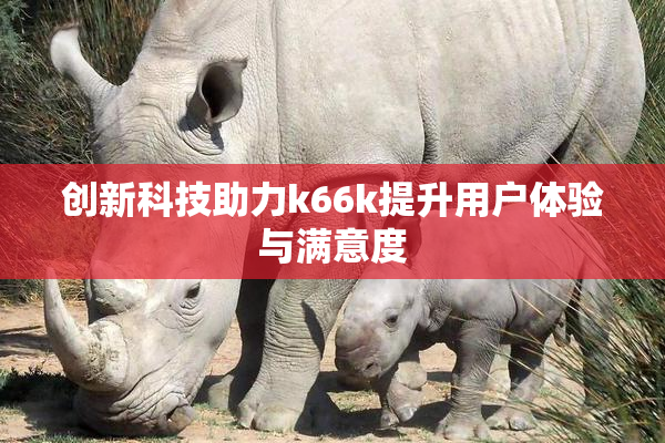 创新科技助力k66k提升用户体验与满意度