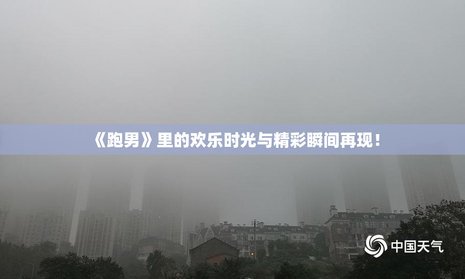 《跑男》里的欢乐时光与精彩瞬间再现！