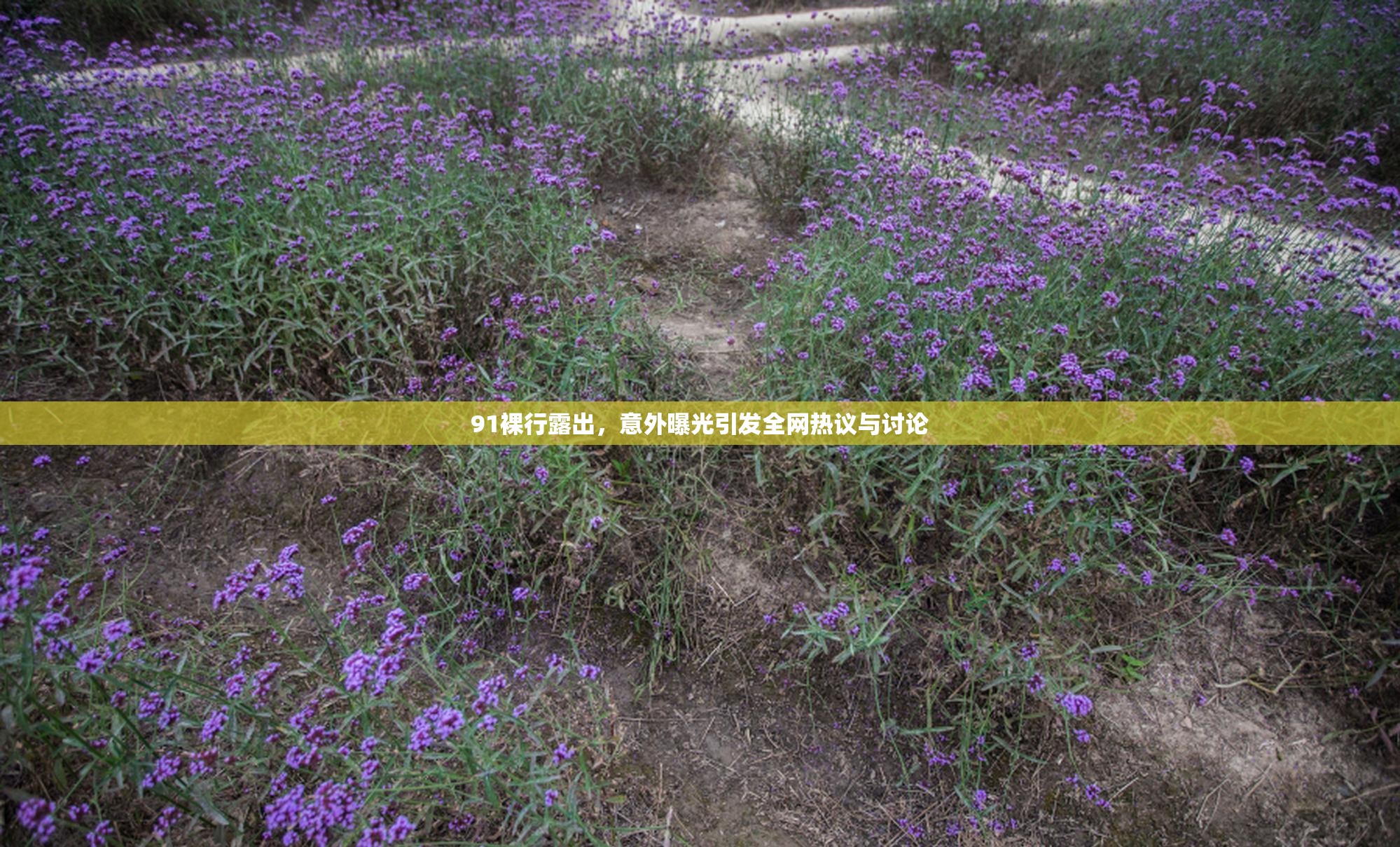 91裸行露出，意外曝光引发全网热议与讨论