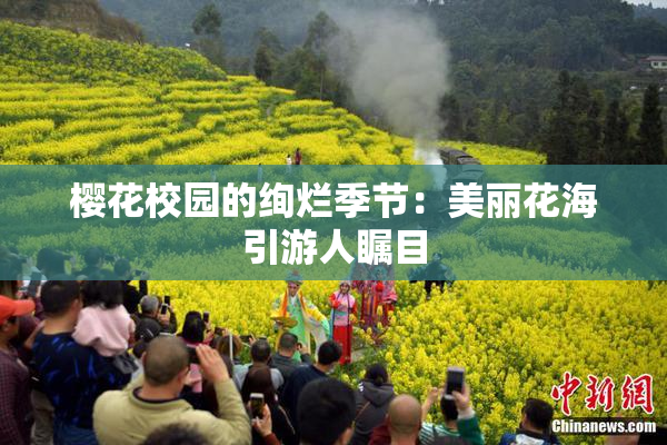 樱花校园的绚烂季节：美丽花海引游人瞩目