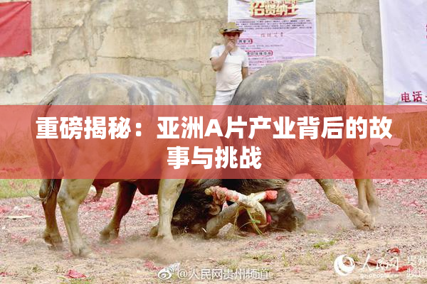 重磅揭秘：亚洲A片产业背后的故事与挑战