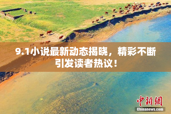 9.1小说最新动态揭晓，精彩不断引发读者热议！