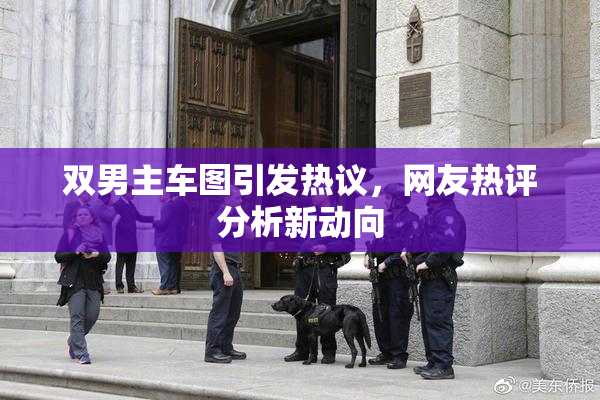 双男主车图引发热议，网友热评分析新动向