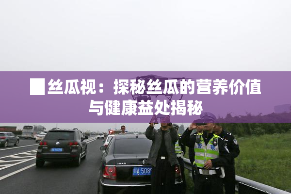 ▉丝瓜视：探秘丝瓜的营养价值与健康益处揭秘