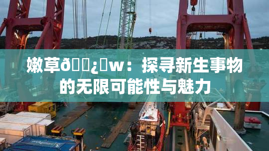 嫩草🌿‌w：探寻新生事物的无限可能性与魅力